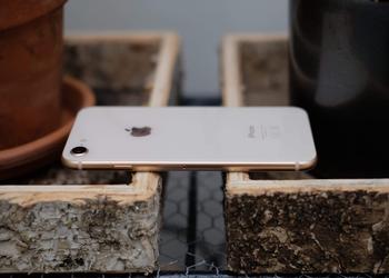 Apple ha retomado las ventas de iPhone 8 reacondicionados: ahora es el iPhone más barato, también con auriculares y cargador incluidos