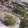 Miniature : Capture d'écran de Forza Horizon 6 dans la métropole de Tokyo