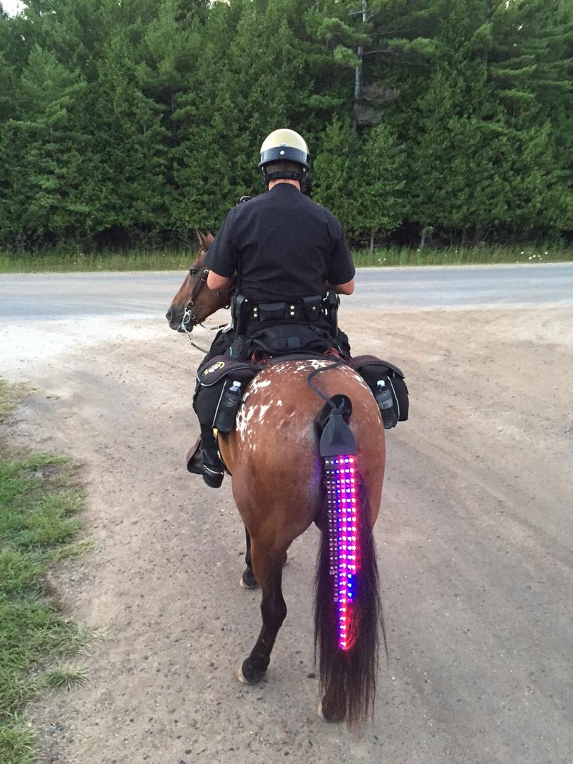 6 High Tech Gadgets for Horses and Equestrians