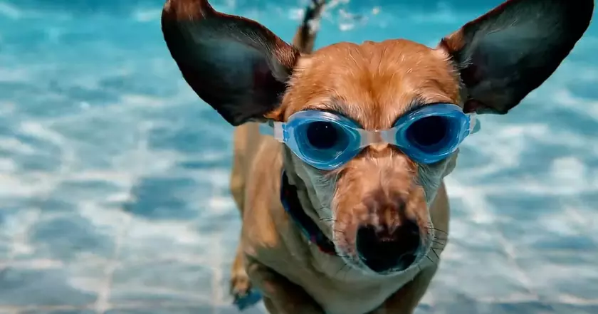 Veo 2: Как новое поколение покоряет технологический мир