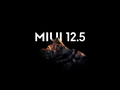 post_big/MIUI-12.5.png