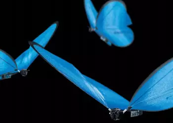 Роботы-насекомые Festo копируют поведение живых бабочек и муравьев (видео)