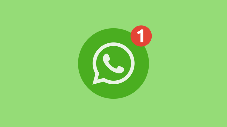 В приложении WhatsApp скоро появятся голосовые и текстовые статусы