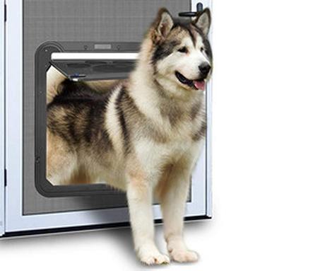 Dog door fashion that works with microchip