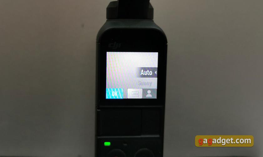 Обзор карманной камеры со стабилизатором DJI Osmo Pocket: удовольствие, которое можно купить-48