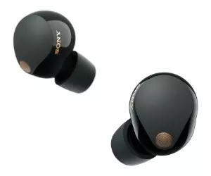 Ecouteurs sans fil Sony WF-1000XM5 à ...