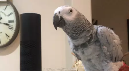 Alexa has learned how to send SMS messages