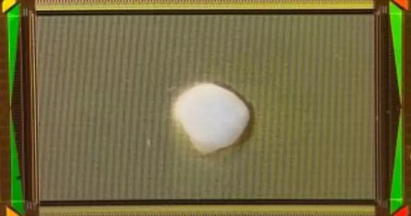 Учёные вырастили человеческий мозг, подключили к компьютеру и научили решать уравнения