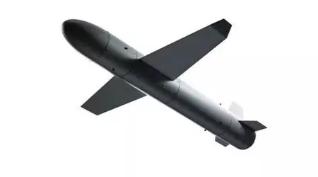 Lithuania invests EUR 10 million in production of long-range drone missile "Palyanytsia"