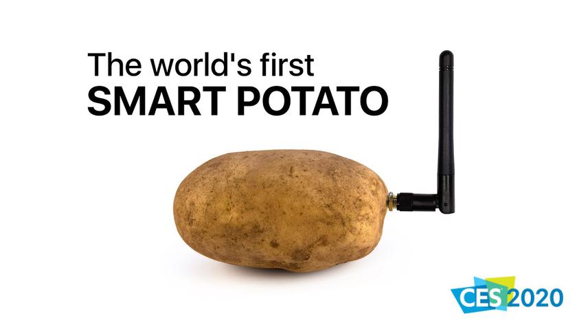 И такое бывает: на выставку CES 2020 привезли устройство для общения… с картошкой