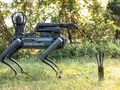 Вместо призывников — робопсы: Южная Корея планирует милитаризовать технологии Hyundai