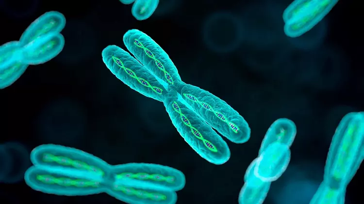 Trillion Gene Atlas: як Basecamp Research ...