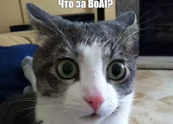 Рынок носимой электроники в 2020 году: Apple, Xiaomi, Samsung, Huawei и BoAt лидируют в четвёртом квартале