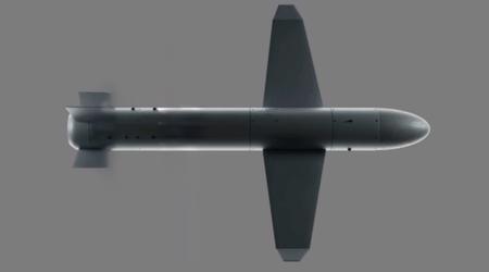 Lithuania to allocate EUR 10 million for production of Ukrainian drone missile "Palianytsia"