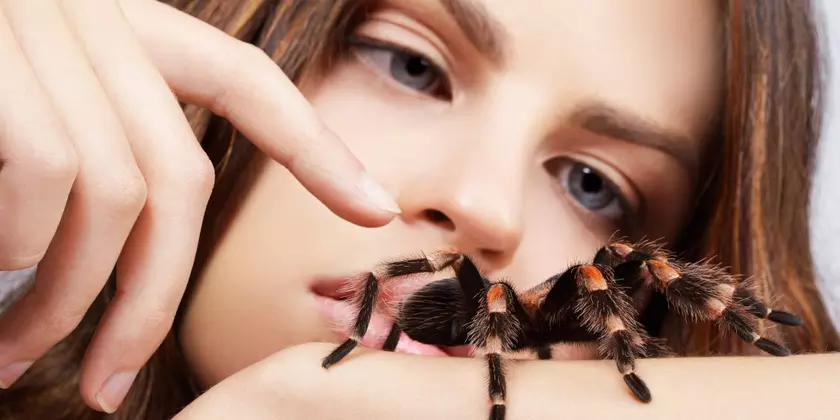 10 штук с Ali Express, которые кажутся чепухой лишь на первый взгляд