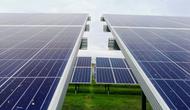 Китай инвестирует 11 миллиардов долларов в проекты солнечной, ветровой и угольной энергетики до 2030 года