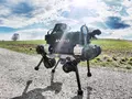 post_big/anymal-robot-goes-anywhere.jpg