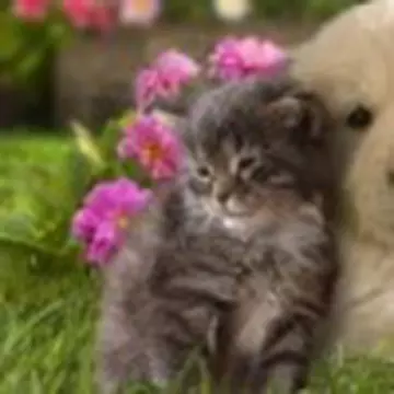 Марина Литвиненко