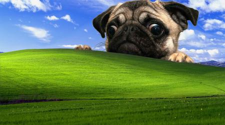 Windows XP remains the most popular in one country