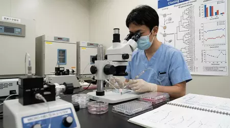 Межа «копіпасту»: чому японські миші-клони здалися на 58-му поколінні