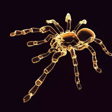 Владимир Хохлов