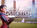 post_big/Harry-Potter-Quidditch-Champions-scaled.jpg