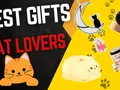 post_big/best-gifts-for-cat-lovers.webp