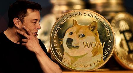 Dogecoin went up 26% after a photo of Elon Musk's dog was published on Twitter