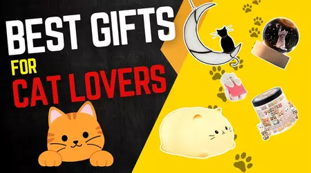 Best Gifts for Cat Lovers