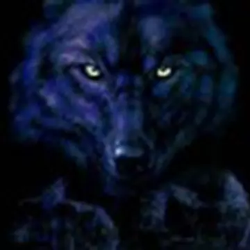 Николай Долгих