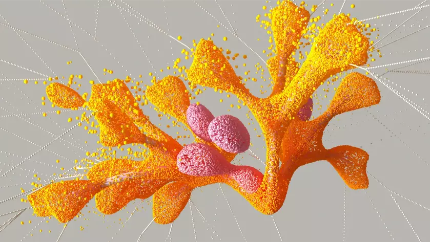 DeepMind создал ИИ-алгоритм AlphaMissense для прогнозирования заболеваний по генетическим мутациям