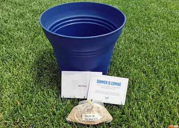 Intel анонсировала выход новых процессоров Tiger Lake с помощью горшка и луковиц цветов