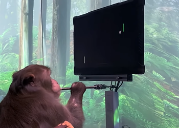 Будущее уже здесь: обезьянка сыграла в Понг силой мысли