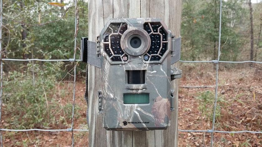 Stealth Cam G42NG Caméra de chasse sans abonnement