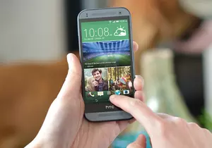 «Верный читатель»