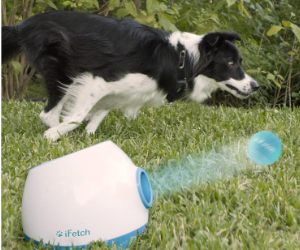 iFetch Too Automatic Ball Launcher