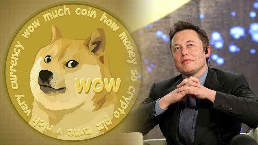 Tesla начнёт принимать Dogecoin – курс криптовалюты сразу подскочил более чем на треть
