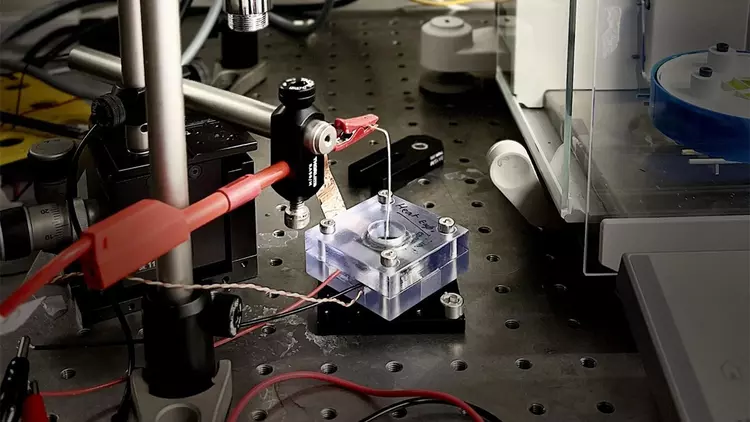 Сонце, сіль та трохи фізики: в ...