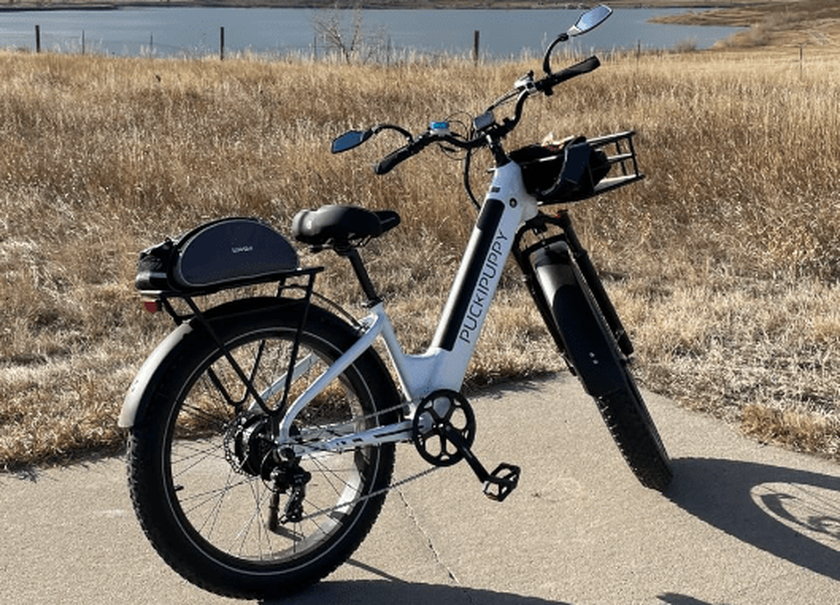 PUCKIPUPPY Samoyed E-Bike Review
