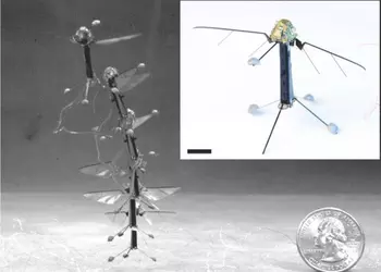 Robo-Fly: самый миниатюрный летающий робот с «глазами»