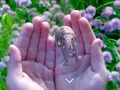 post_big/magic-leap-2016-a-3.jpg