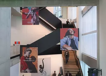 OPPO:  «Если США введут санкции и против нас, плана Б у нас нет»