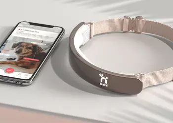 Les chiens vont-ils parler ? La ...