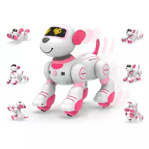STEMTRON Robot Dog