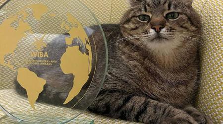 El gato de Kharkiv, Stepan, recibió un premio internacional para bloggers en Cannes después de recaudar $ 10,000 para animales ucranianos.
