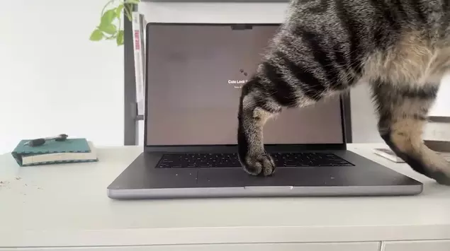 Cats Lock is a $2.99 Mac ...