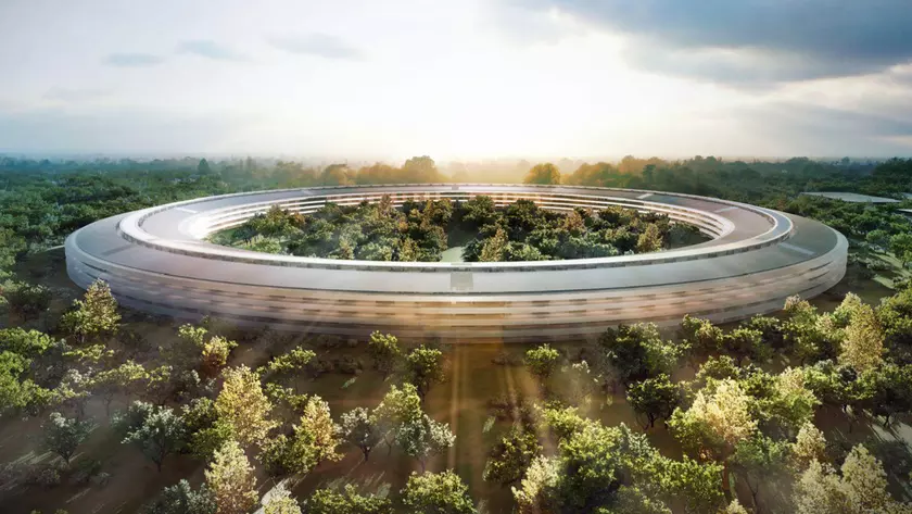 Сотрудники Apple Park жалуются, что постоянно врезаются в стеклянные стены