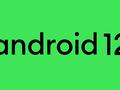 post_big/Android_12_logo.jpg