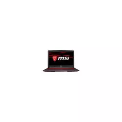 MSI GL63 8RD Black (GL638RD-CUS)