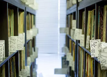 Как правильно хранить виниловые пластинки